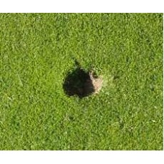 How To Repair Pitch Marks